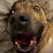 goofus