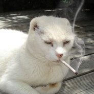 yungher