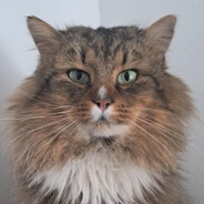 stinx
