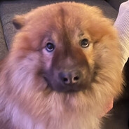 fredk0