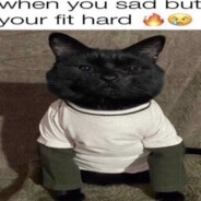.GAÚCHO