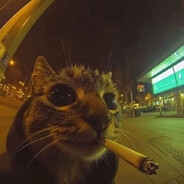 добряк