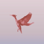 kyxsan
