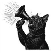 Department of Noise Director